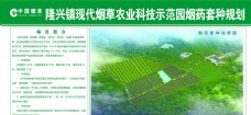 psd源文件现代烟草农业科技示范园专栏