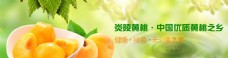 淘宝网站通栏banner水果