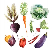 绿色蔬菜9款水彩蔬菜矢量素材
