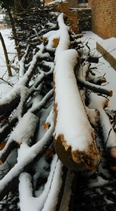 木头的积雪  雪特写 雪景