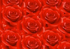 欧式花纹背景红玫瑰背景素材