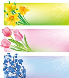 春季横幅春季花卉边框横幅矢量素材