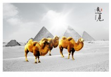 挂画骆驼企业文化