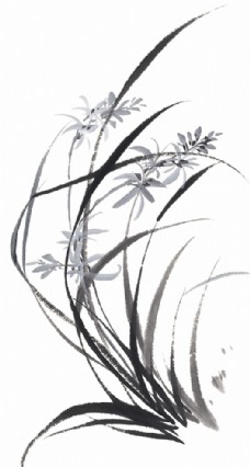 水墨兰花