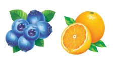 蓝莓香橙