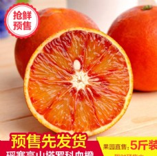 高山血橙预售主图