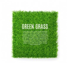 方形绿色草坪