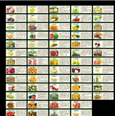 榴莲海报水果介绍水果营养价值