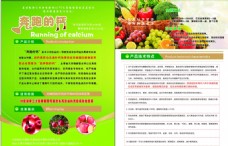 健康蔬菜健康水果蔬菜彩页